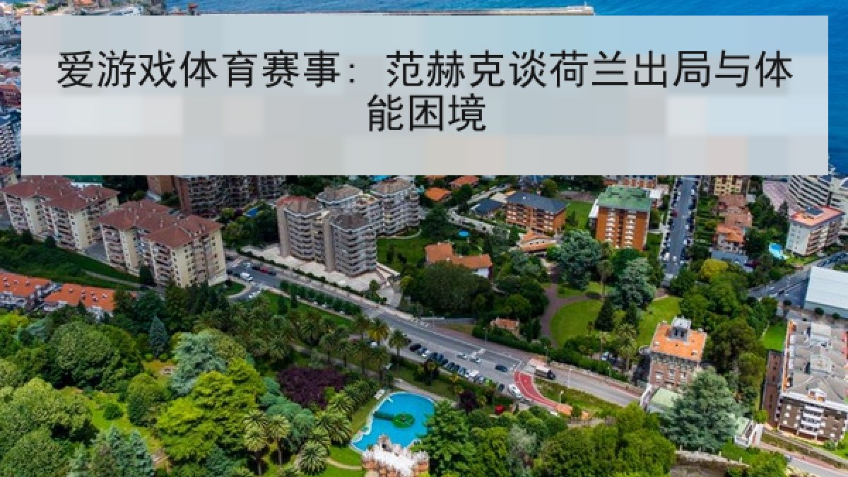 爱游戏体育赛事: 范赫克谈荷兰出局与体能困境