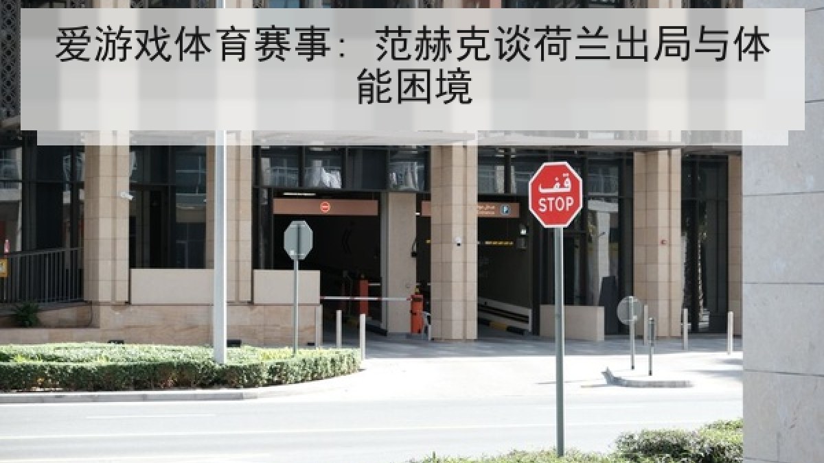 爱游戏体育赛事: 范赫克谈荷兰出局与体能困境